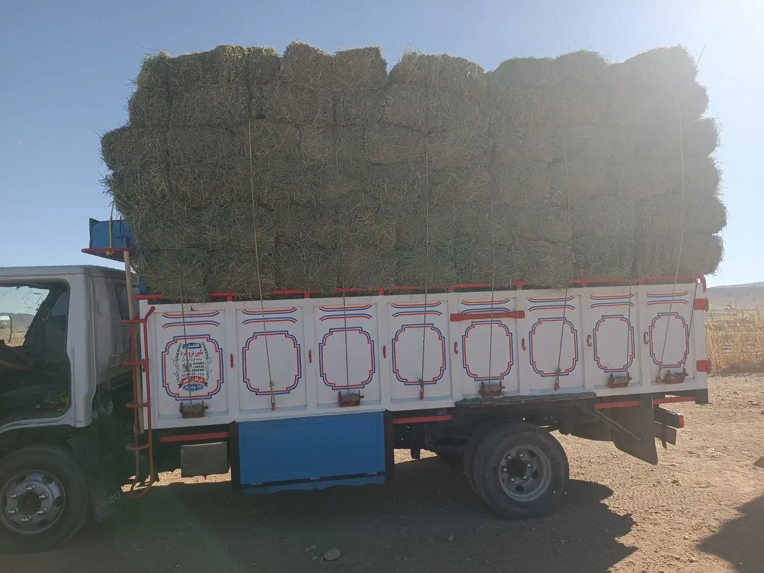 یونجه|خدمات باغبانی و درختکاری|کوهدشت, |دیوار