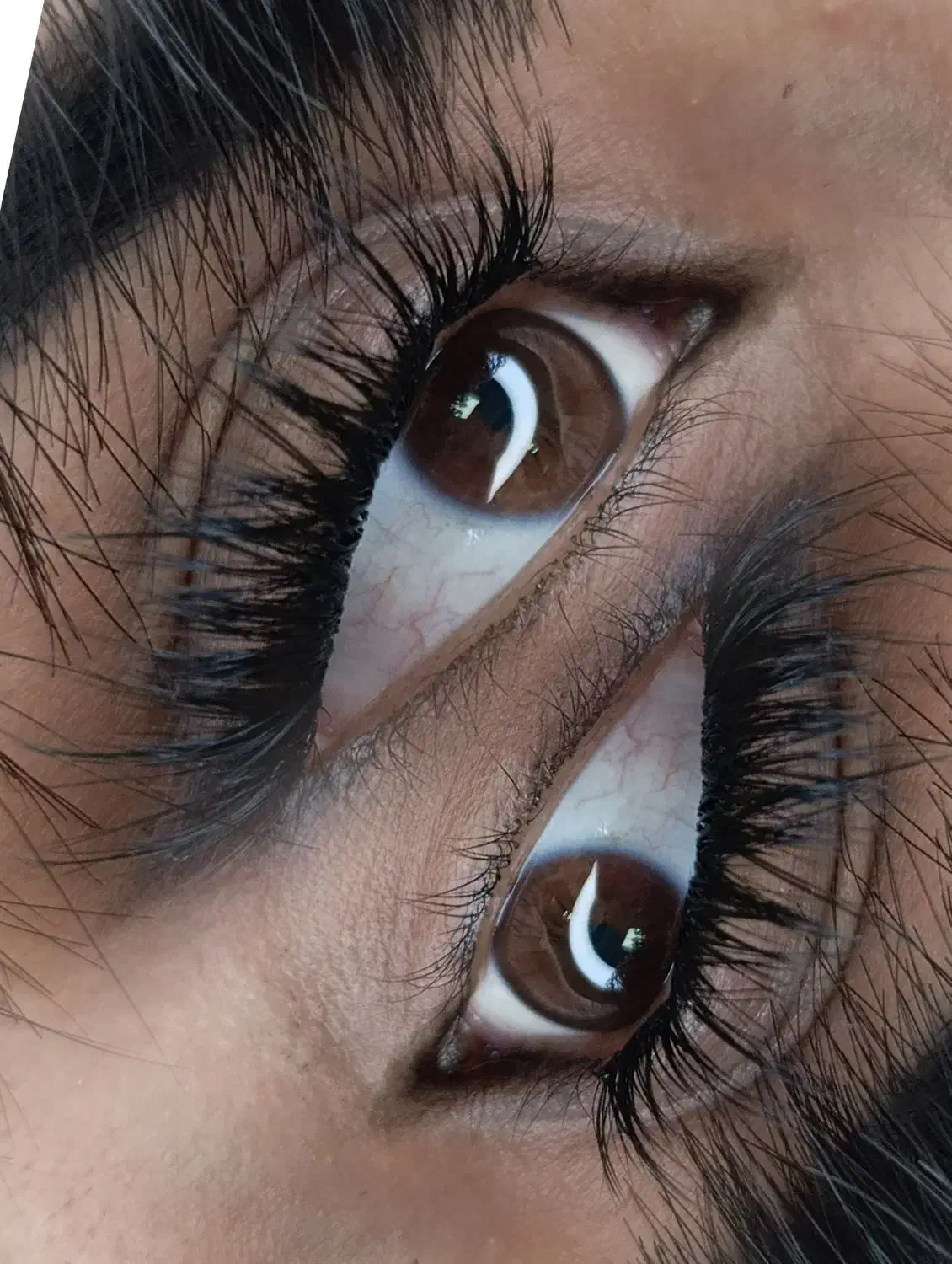 کاشت مژه و لیفت ابرو و مژه|خدمات آرایشگری و زیبایی|پردیس, فاز ۳|دیوار