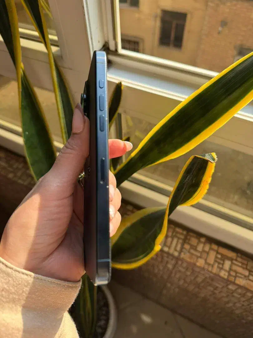 15 پرومکس 256 بدون رجیستری|موبایل|تهران, جمال‌زاده|دیوار