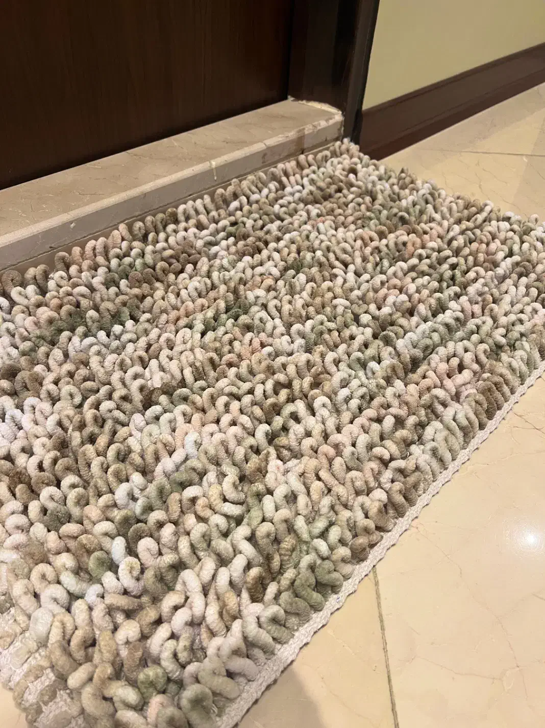 دو عدد پادری|پادری|تهران, بنیهاشم|دیوار