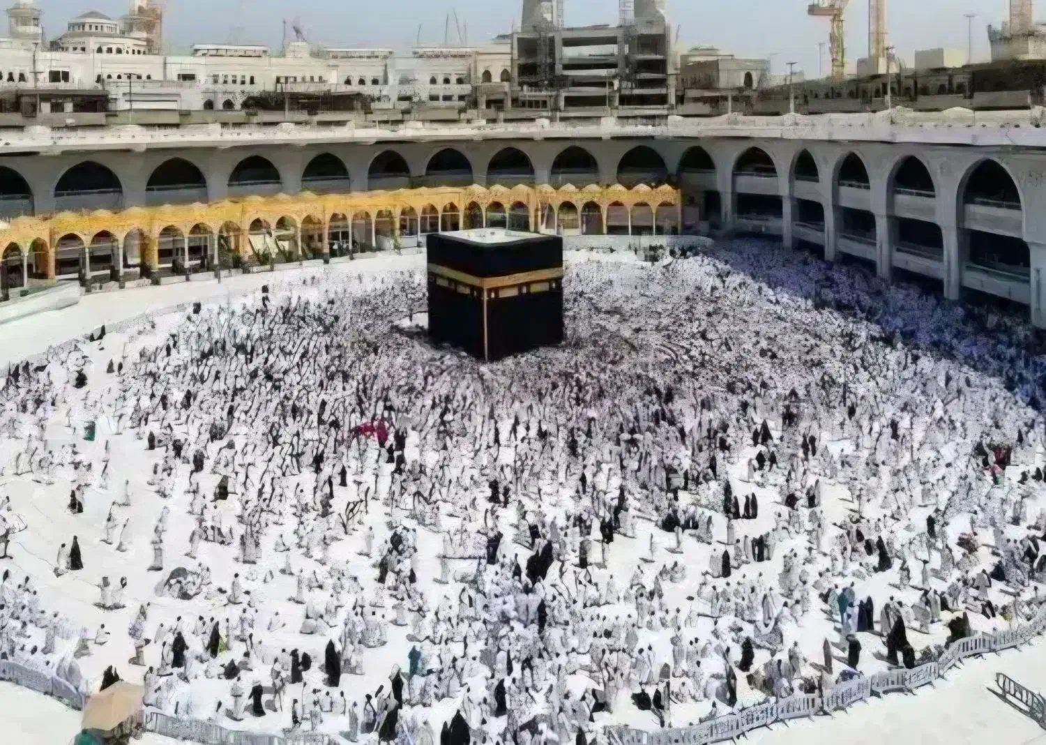 فروش فیش حج عمره|تور و چارتر|بیرجند, |دیوار