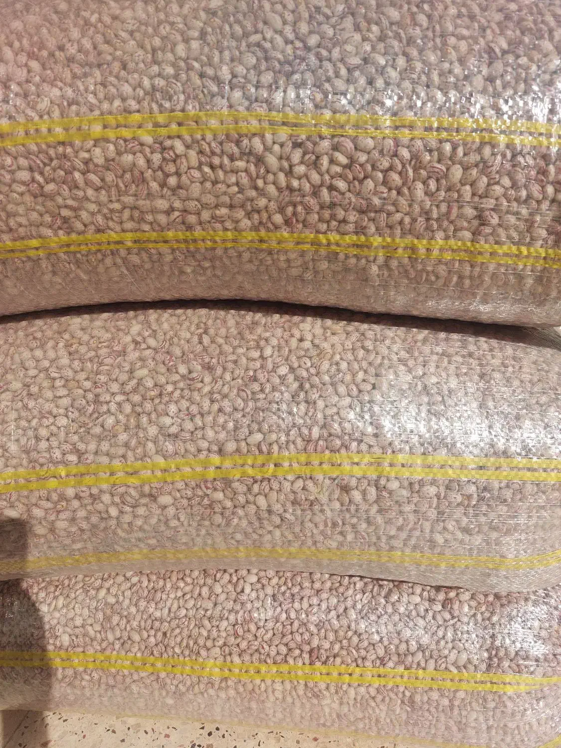 لوبیا چیتی دست چین|خوردنی و آشامیدنی|بهمن صغاد, |دیوار