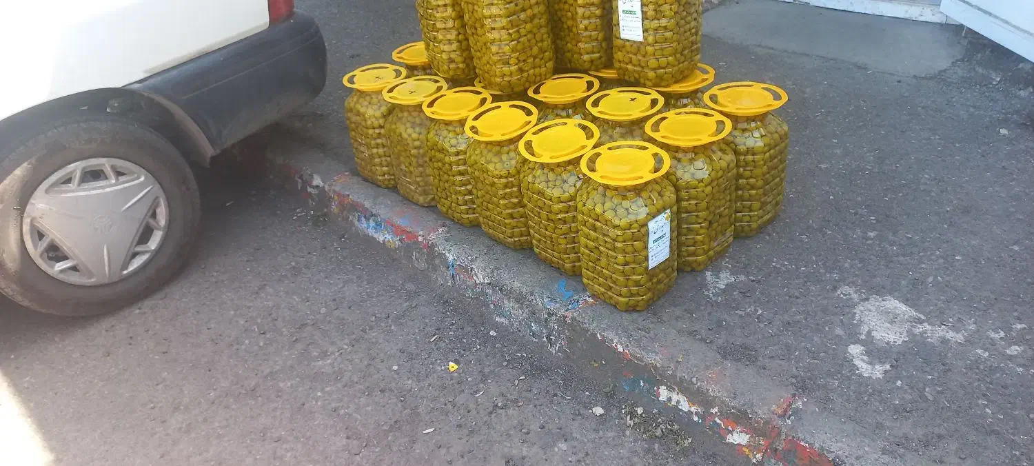 پخش عمده زیتون|عمده‌فروشی|رودبار, |دیوار