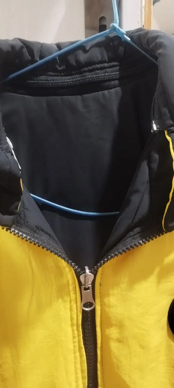 کاپشن|لباس|عجب شیر, |دیوار