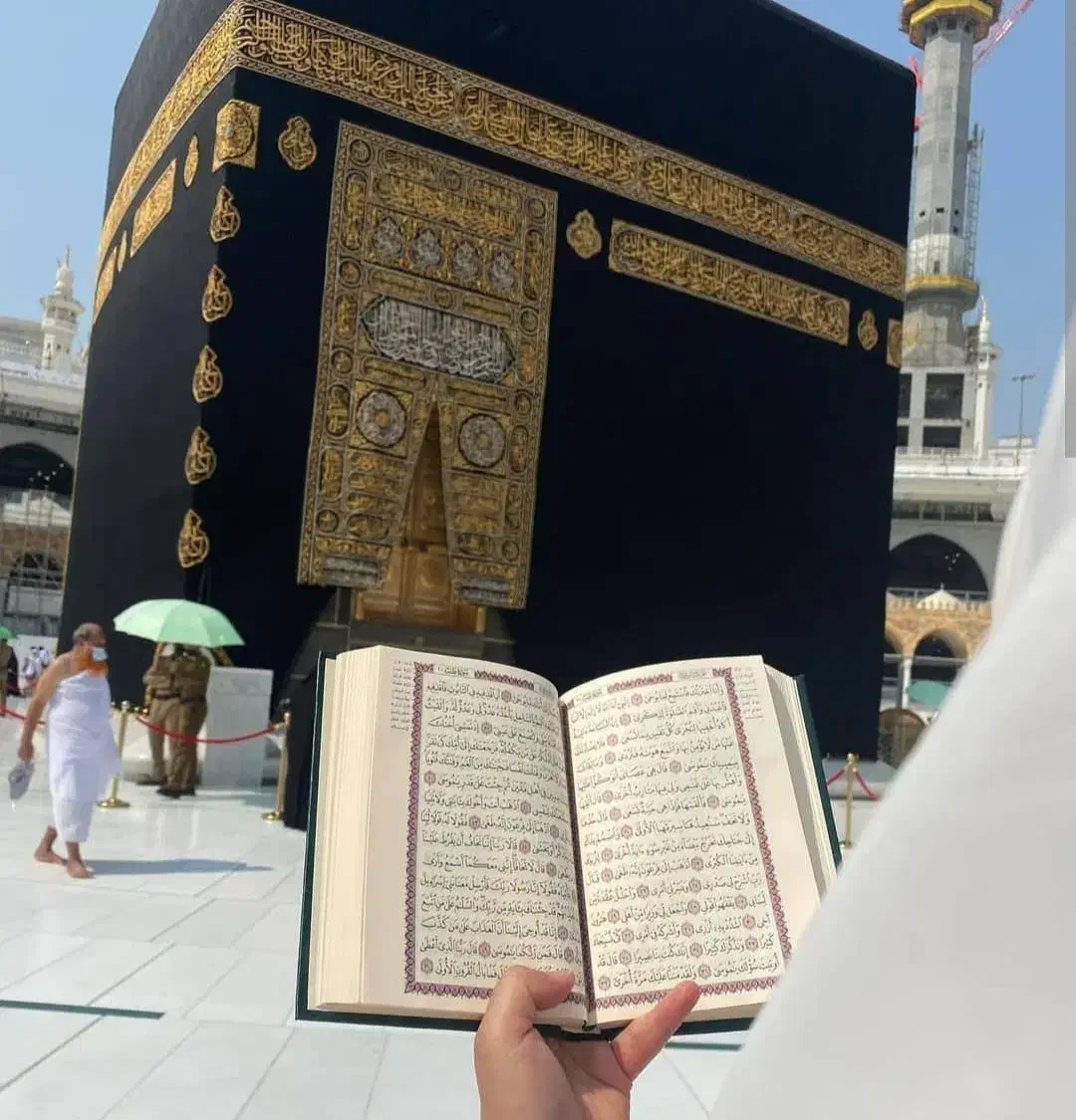 فروش فیش حج تمتع|تور و چارتر|شاهین‌شهر, فردوسی|دیوار