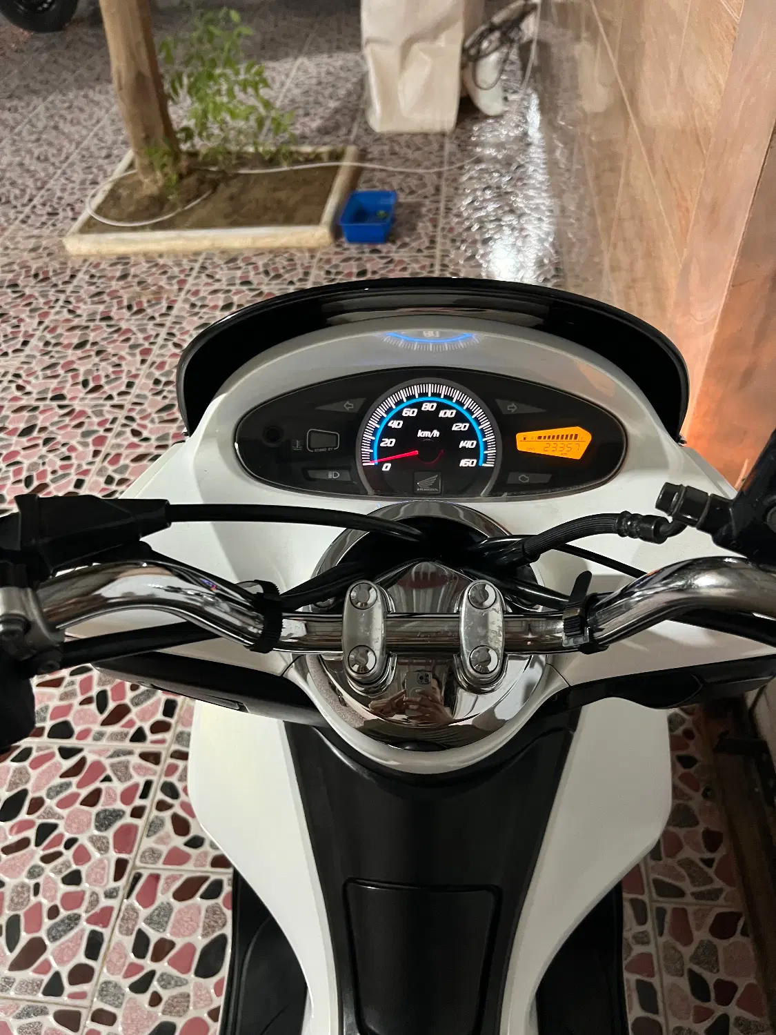 PCX125 2013|موتورسیکلت|بوشهر, |دیوار