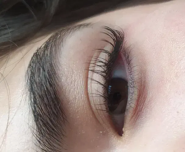 اکستنشن و کاشت مژه دائم به مدت محدود|خدمات آرایشگری و زیبایی|تربت جام, والفجر|دیوار