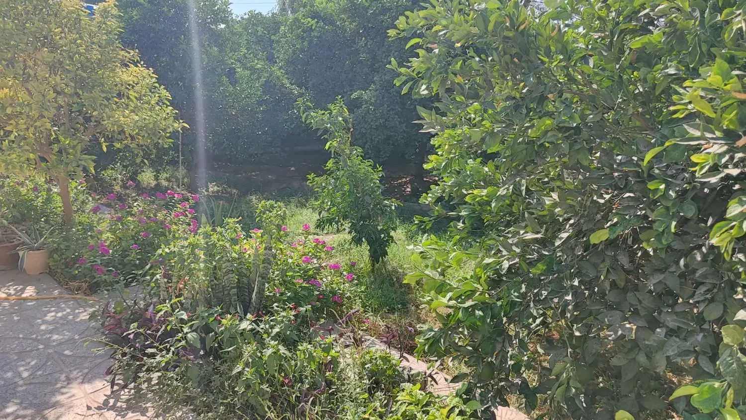 اجاره منزل مسکونی|اجارهٔ خانه و ویلا|جیرفت, |دیوار