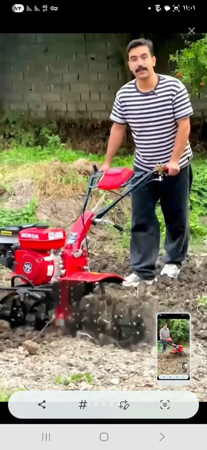 خدمات باغبانی|خدمات باغبانی و درختکاری|قم, پاسدار|دیوار