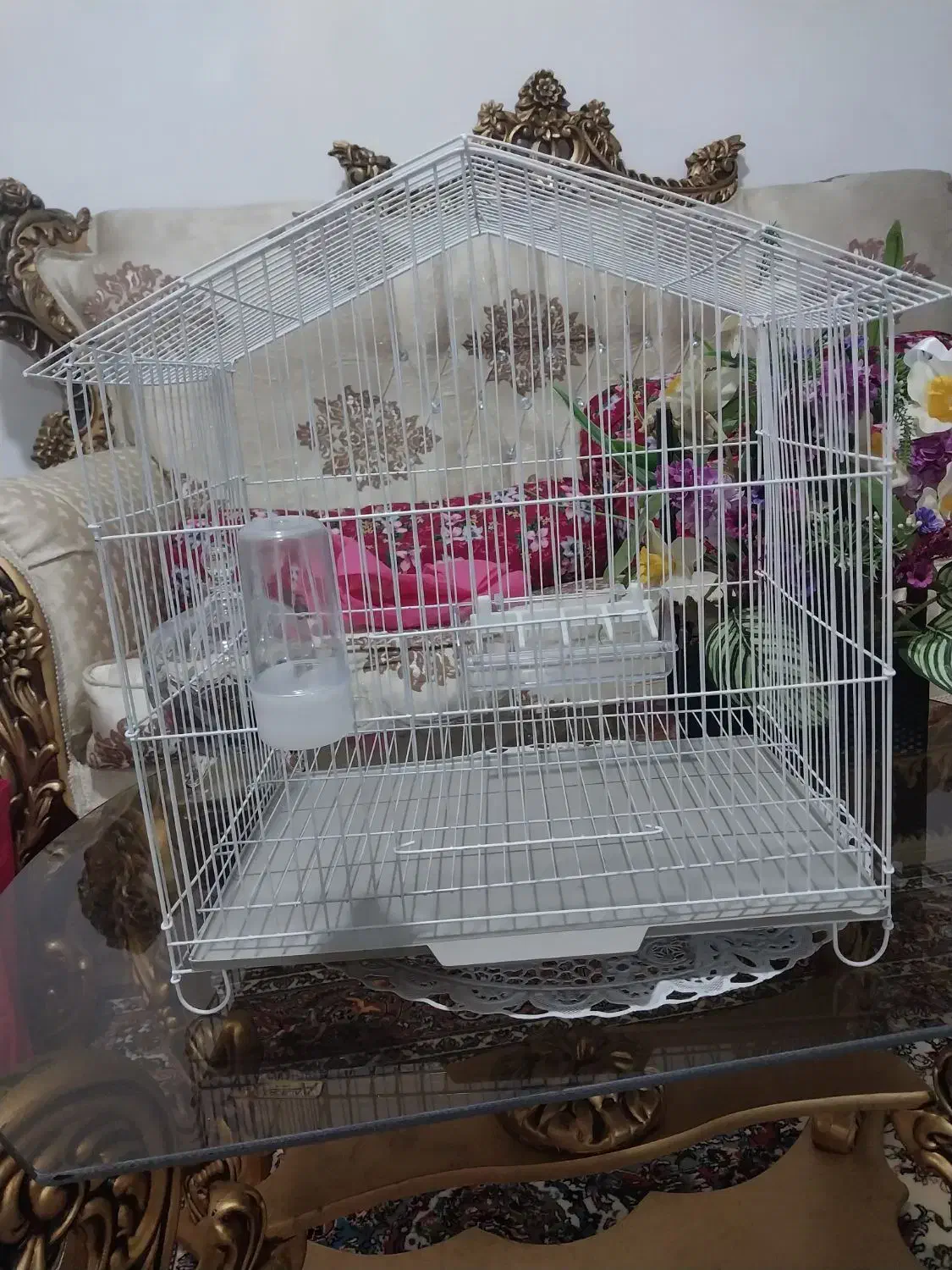 یک عددقفصه،مرغ عشق|لوازم جانبی حیوانات|نقده, |دیوار