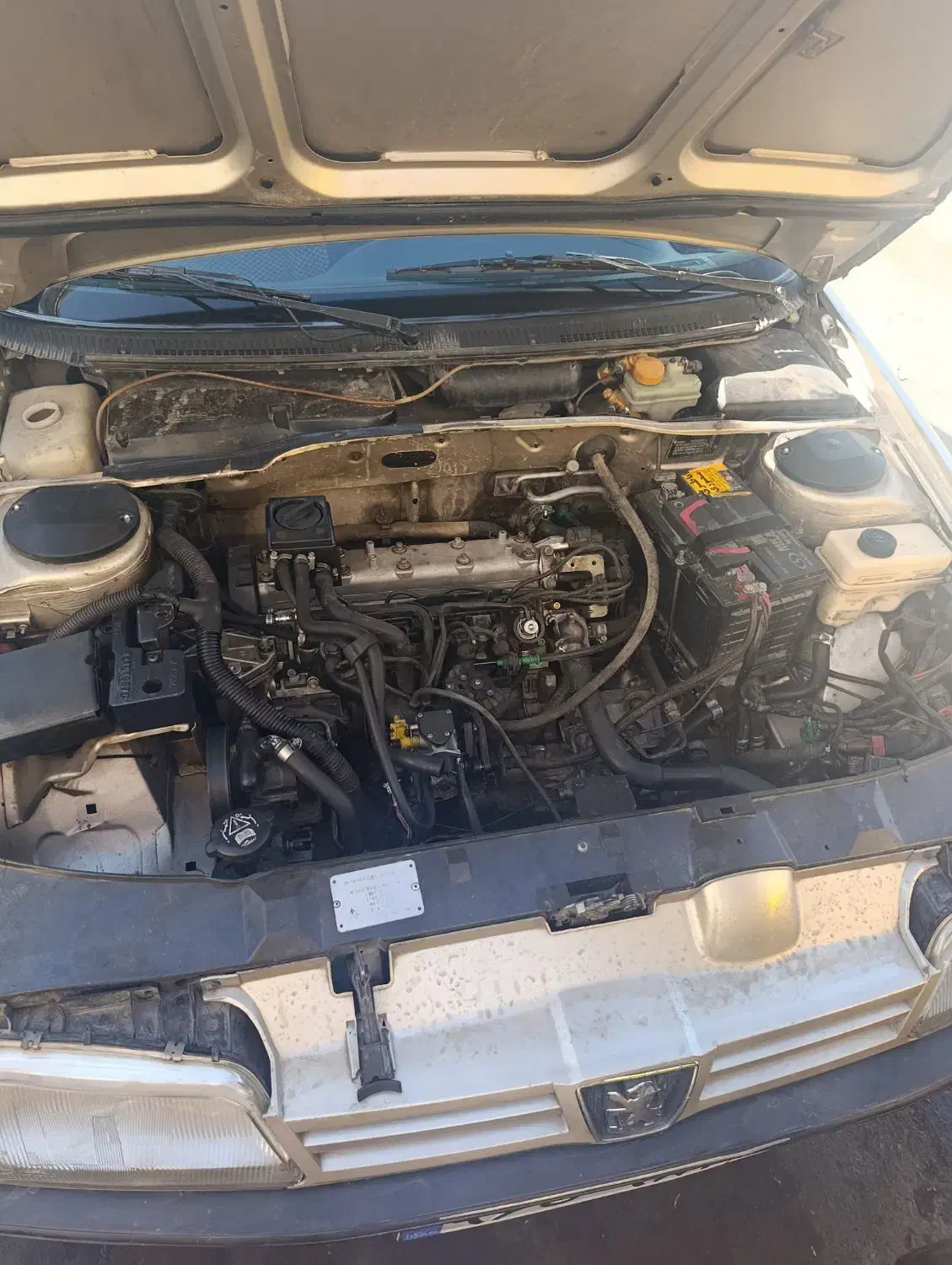 پژو 405|خودرو سواری و وانت|سنندج, |دیوار