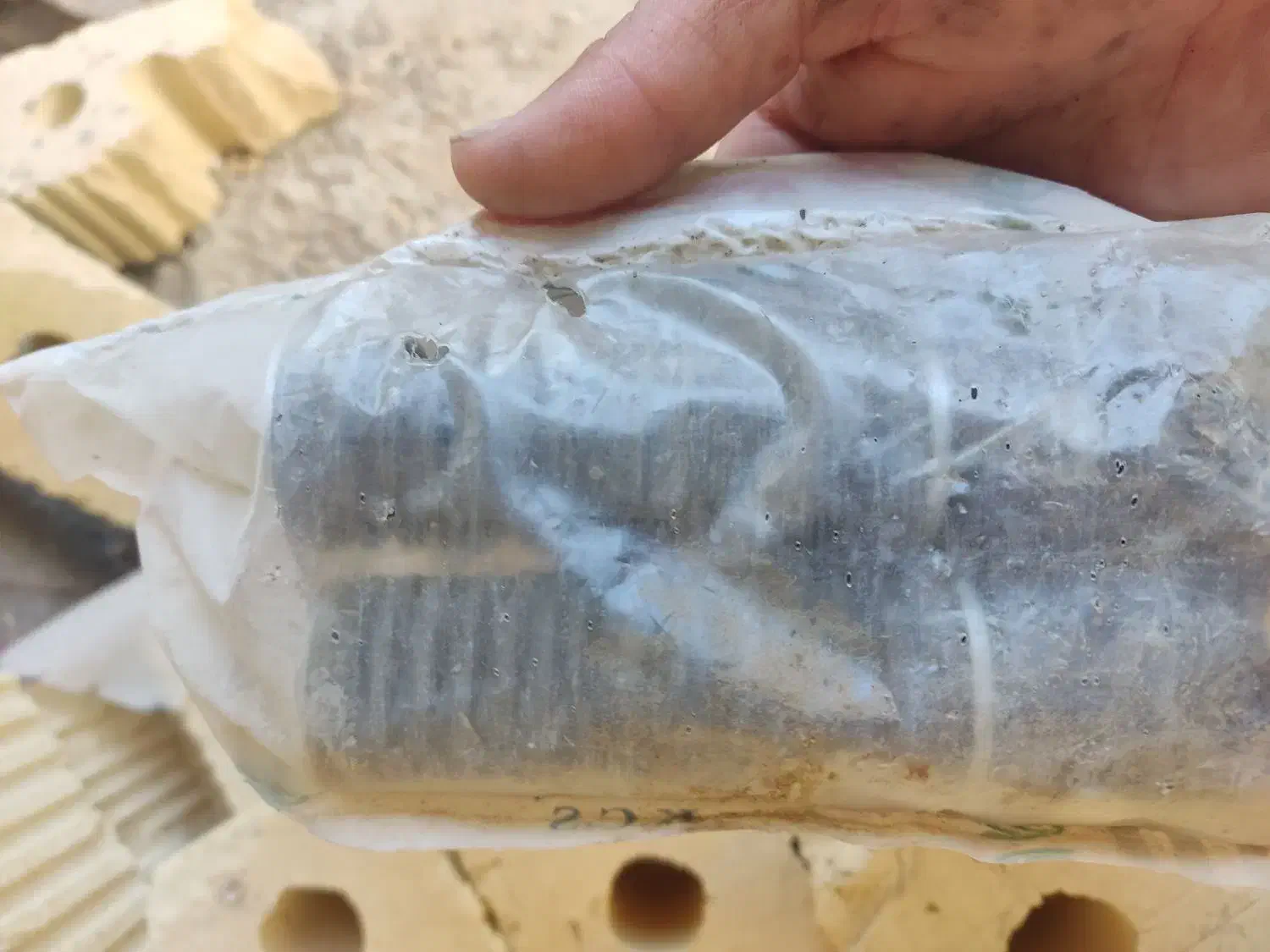 چراغ جلو ال نود خورشیدی عقب موتور و جاپایی عقب|قطعات یدکی و لوازم جانبی|شیراز, شاپورجان|دیوار