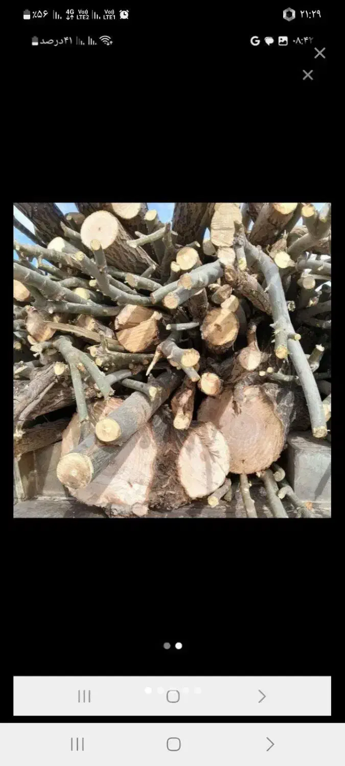 هرس وخرید چوب|خدمات باغبانی و درختکاری|بروجرد, |دیوار