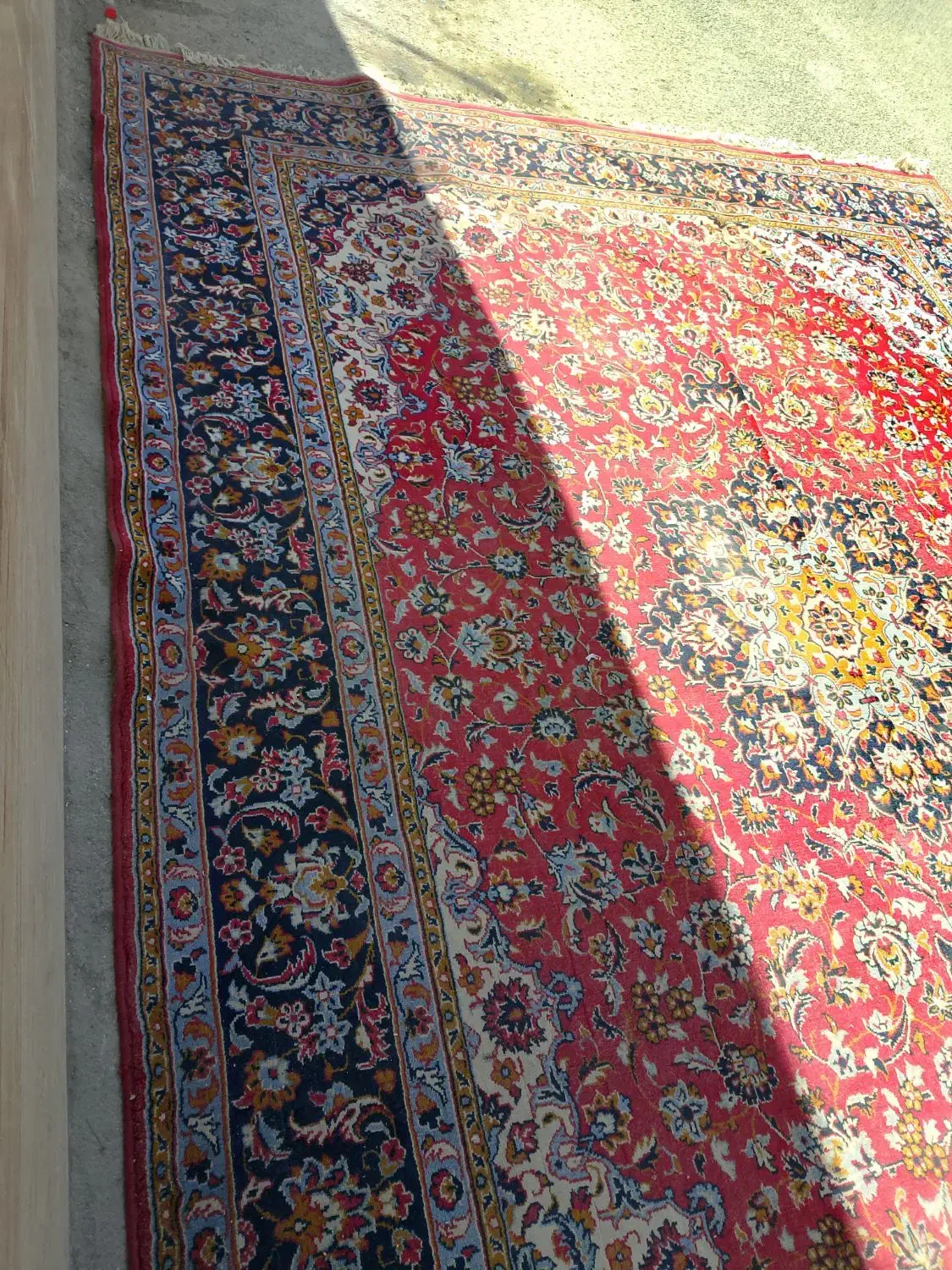 فرش۱۲متری|فرش|قم, شهر قائم|دیوار