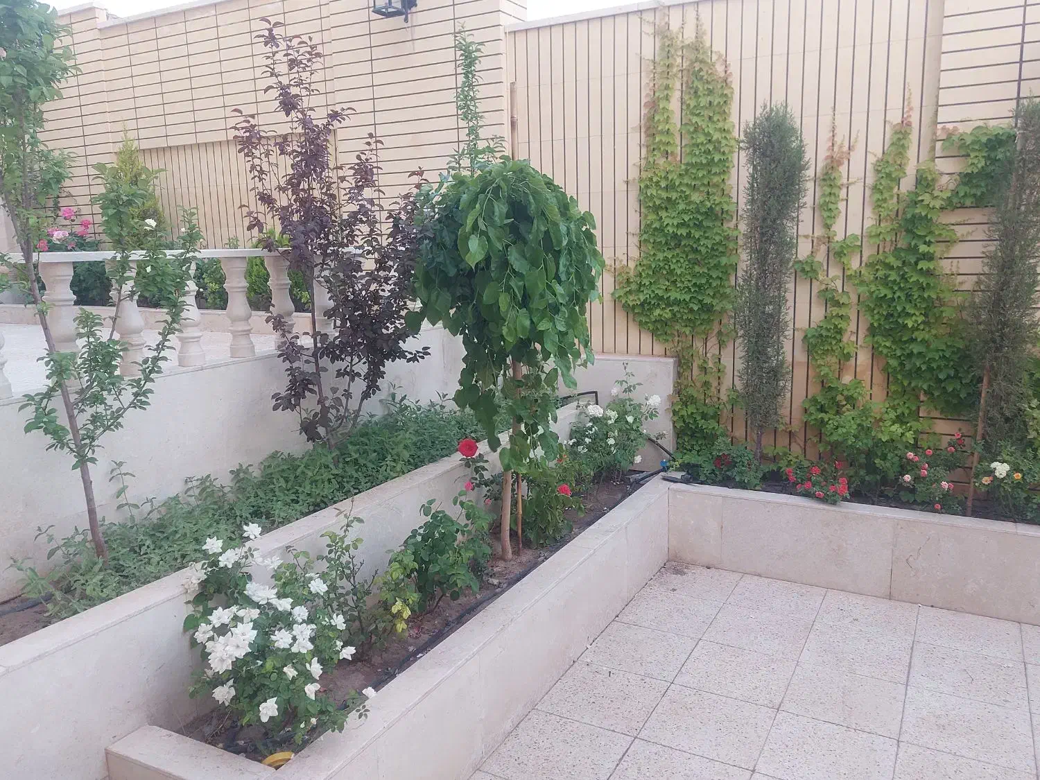 خانم برای نظافت منزل|خدمات نظافت|رفسنجان, |دیوار