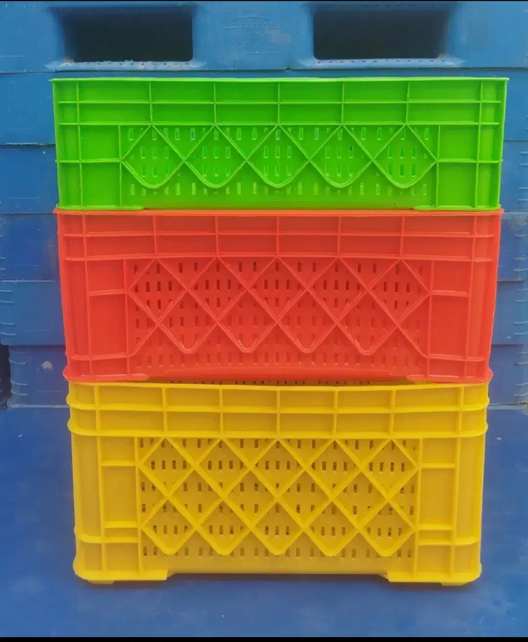 سبد مرغی یا برای هر چیزی|ظروف نگهدارنده، پلاستیکی، یک‌بارمصرف|شیراز, شهدای شهرک سعدی|دیوار