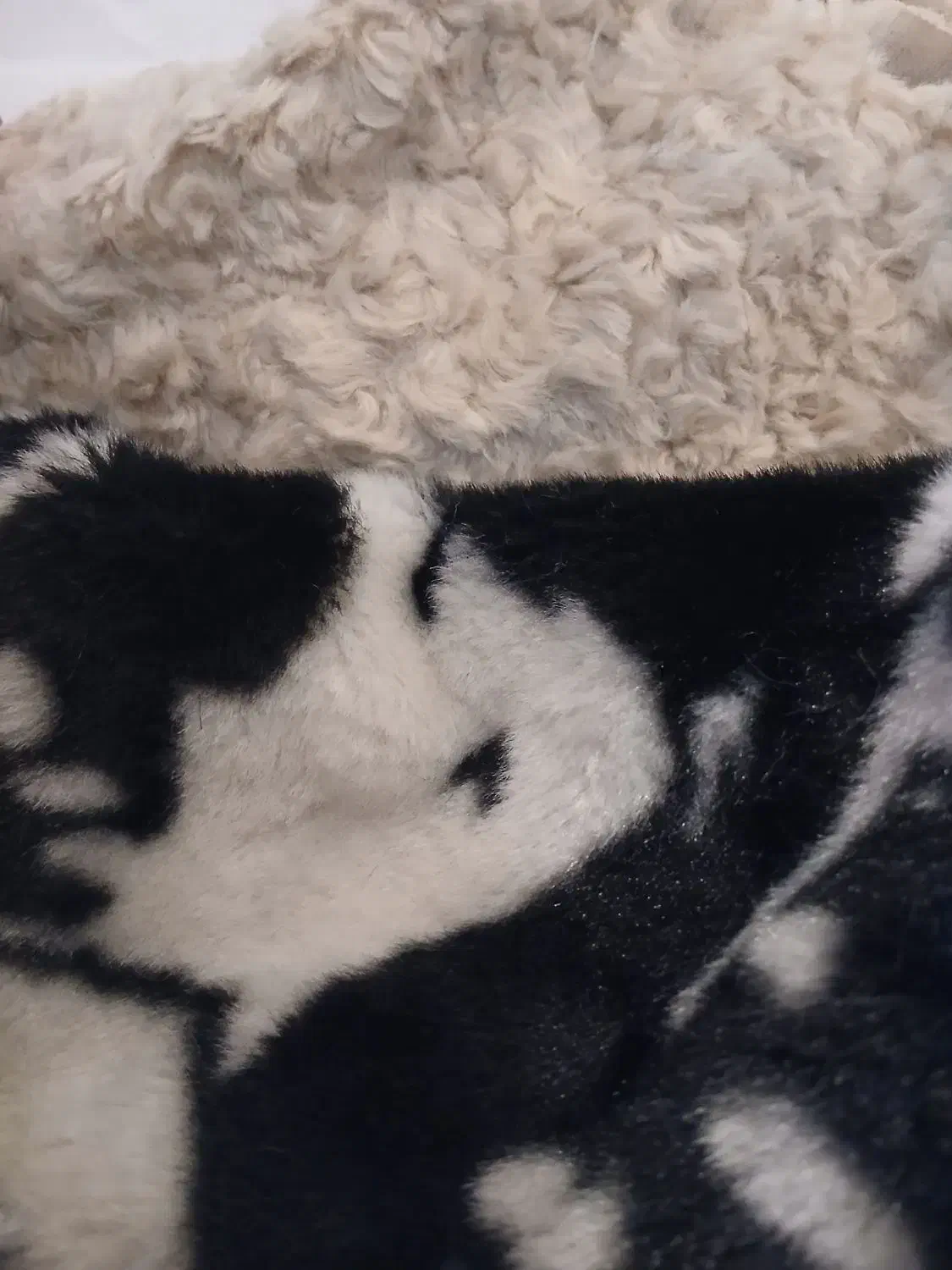 نیازمند خیاط راسته دوز برای تولید هد|استخدام صنعتی، فنی، مهندسی|گنبد کاووس, |دیوار