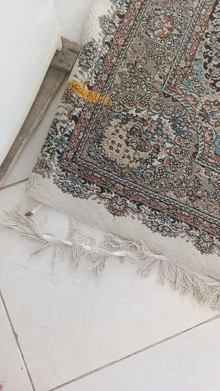 فرش ۶متری|فرش|باغستان, |دیوار