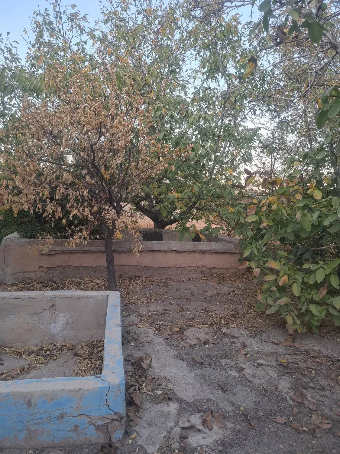 خانه مسکونی و باغچه|فروش زمین و ملک کلنگی|ضیاء آباد, |دیوار