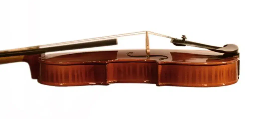 ویولن MV146 4/4|ویولن|یاسوج, |دیوار