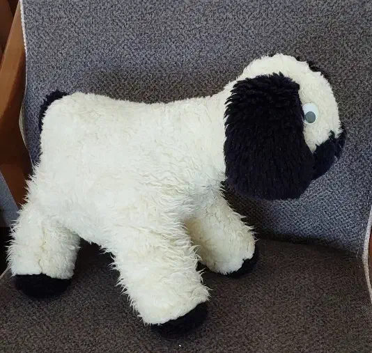 عروسک گوسفند، ببعی|اسباب‌‌بازی|مشهد, الهیه|دیوار