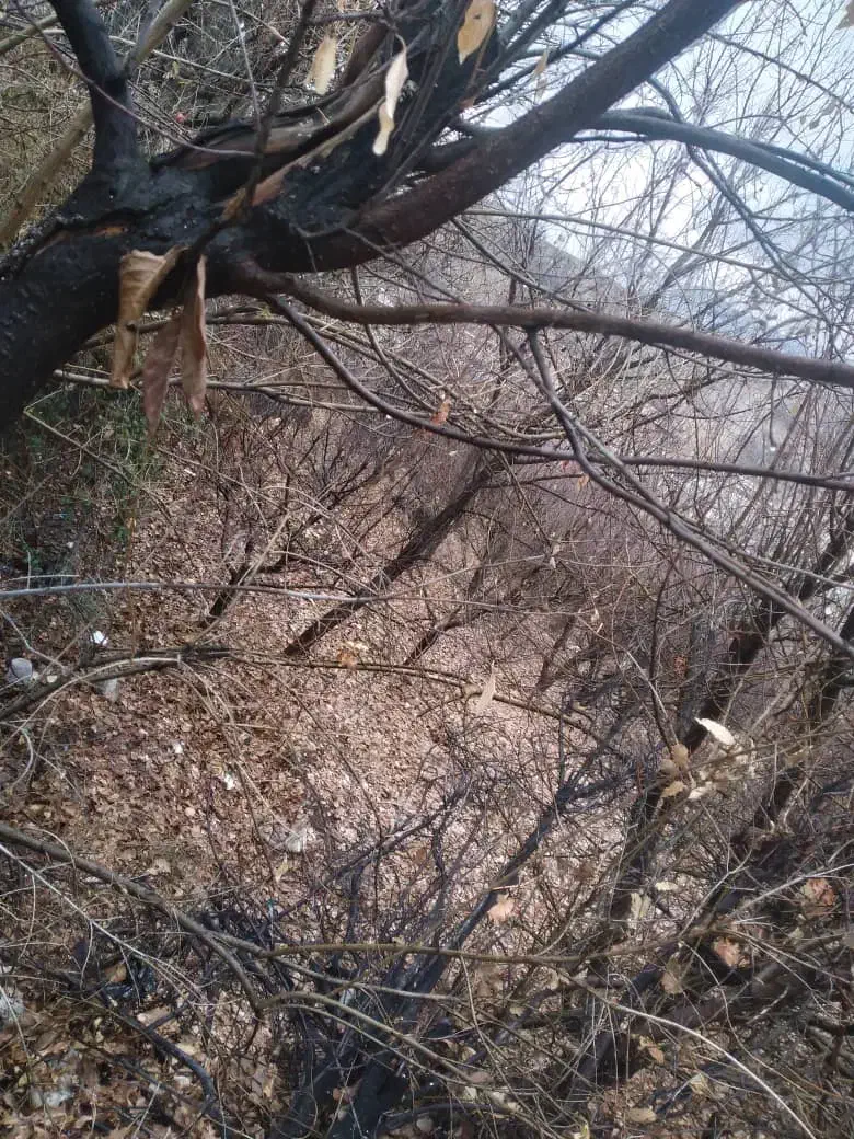 باغ|فروش زمین و ملک کلنگی|سی‌سخت, |دیوار