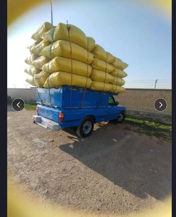 کاه گندم|لوازم جانبی حیوانات|رشت, پل تالشان|دیوار