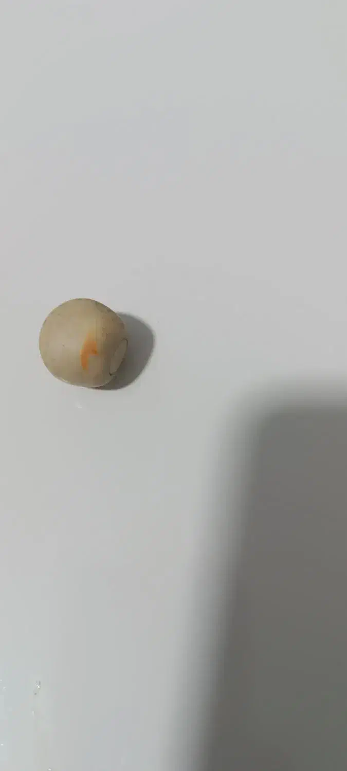 سنگ آسیاب|کلکسیون اشیاء عتیقه|قدس, شهرک صنعتی زاگرس|دیوار