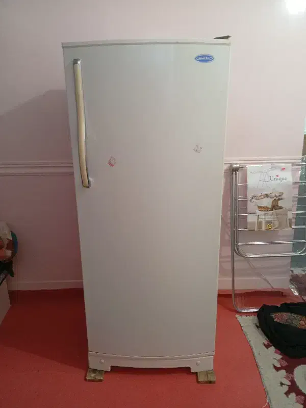 فروش یخچال خانگی|یخچال و فریزر|بندر دیر, |دیوار