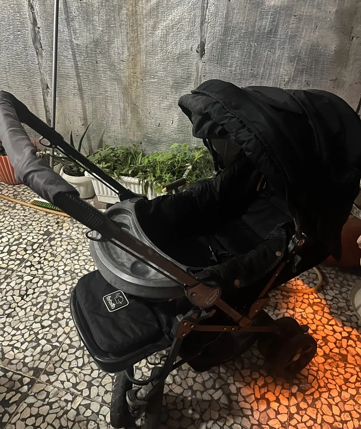 کالسکه|کالسکه و لوازم جانبی|رشت, پاستوریزه|دیوار