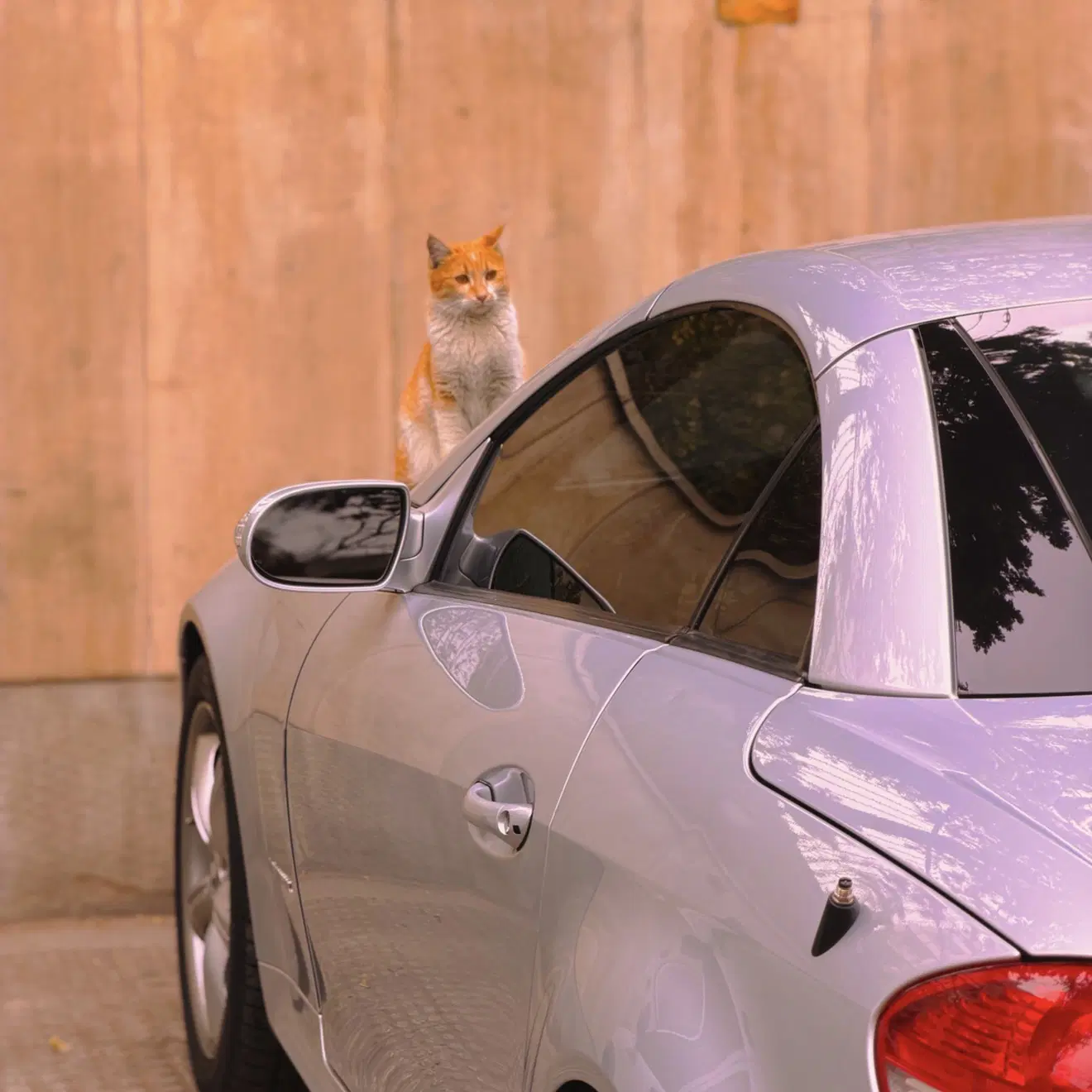 Mercedes-Benz SLK 200 مرسدس بنز|خودرو سواری و وانت|تهران, جردن|دیوار