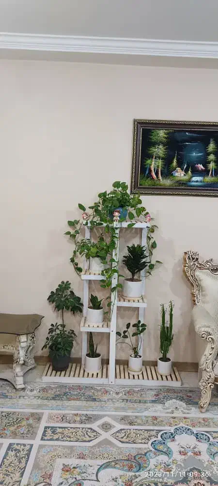 استند گل و گلدان|کتابخانه، شلف، قفسه‌های دیواری|جم, |دیوار