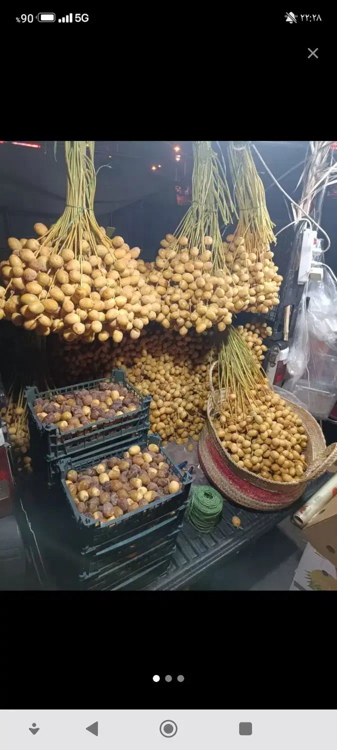 فروش خارک مکتیب زرد وشیخالی(قرمز)شیرین|خوردنی و آشامیدنی|شیراز, سجادیه|دیوار