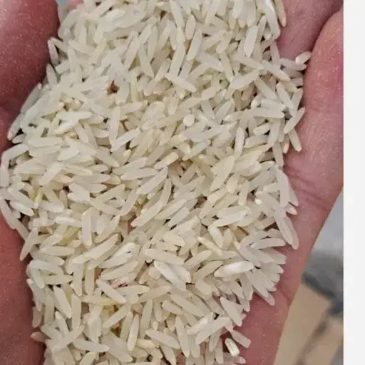 برنج فجر با قیمت ارزان و با کیفیت|خوردنی و آشامیدنی|سپیدان, |دیوار