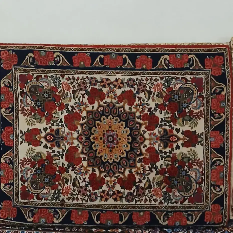 پشتی و‌تابلو فرش|فرش|بیجار, |دیوار