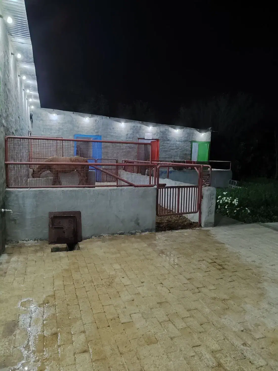 اجاره باغ|اجارهٔ کوتاهمدت ویلا و باغ|نجفآباد, حومه نجف آباد|دیوار