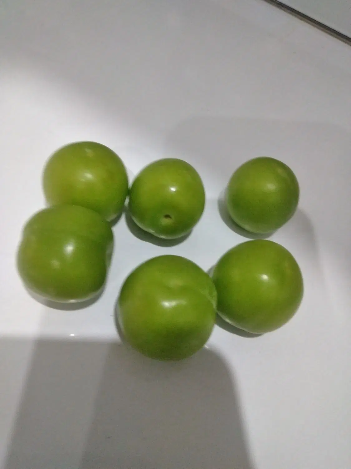 گوجه سبز|خوردنی و آشامیدنی|نیشابور, شهرآرا|دیوار