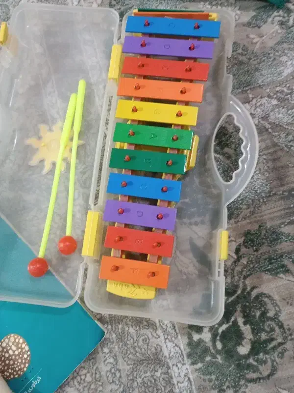 بلز و فلوت همراه کتاب|سازهای بادی|همدان, |دیوار