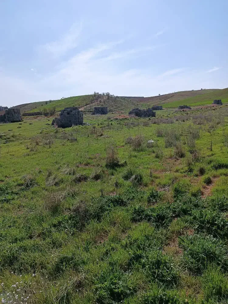 فروش بلوک زیر قیمت|مصالح و تجهیزات ساختمان|سپیدان, |دیوار