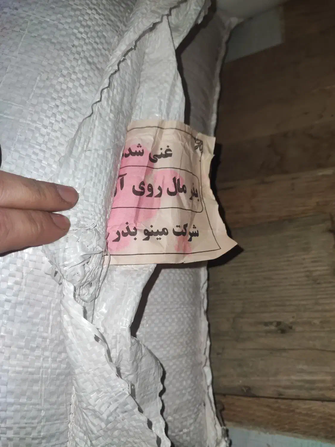 بذر گندم مادری پلمپ رقم پایا|گل و گیاه طبیعی|گنبد کاووس, |دیوار