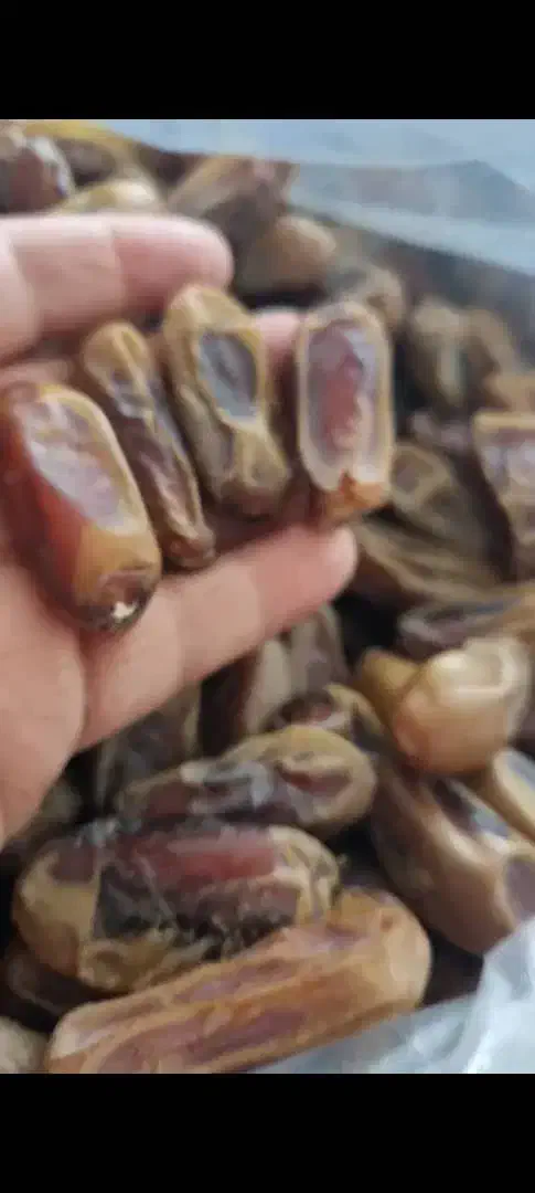 خرمای شاهانی|خوردنی و آشامیدنی|لار, |دیوار