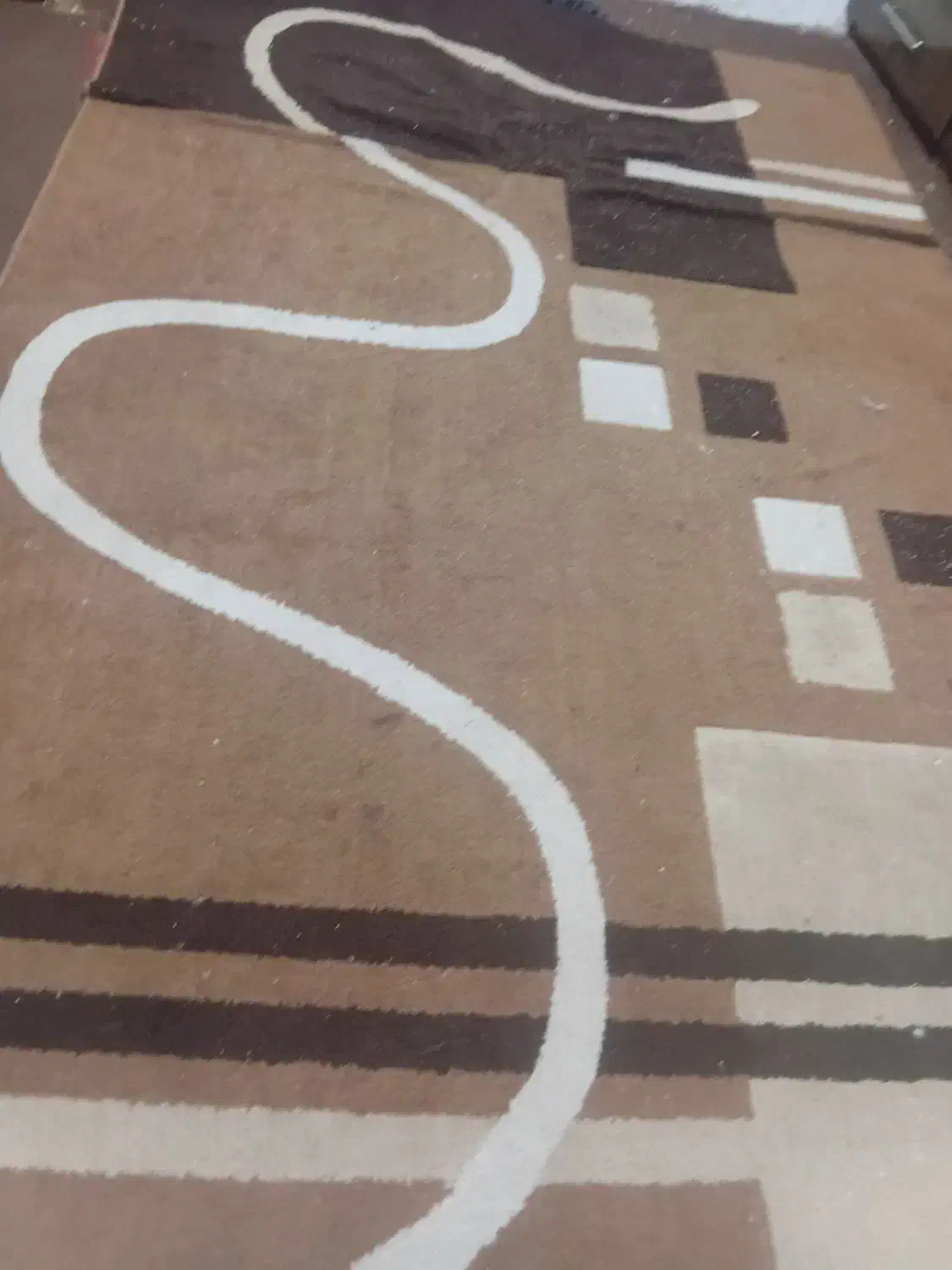 فرش ۶متری|فرش|مشهد, حضرت حجت|دیوار