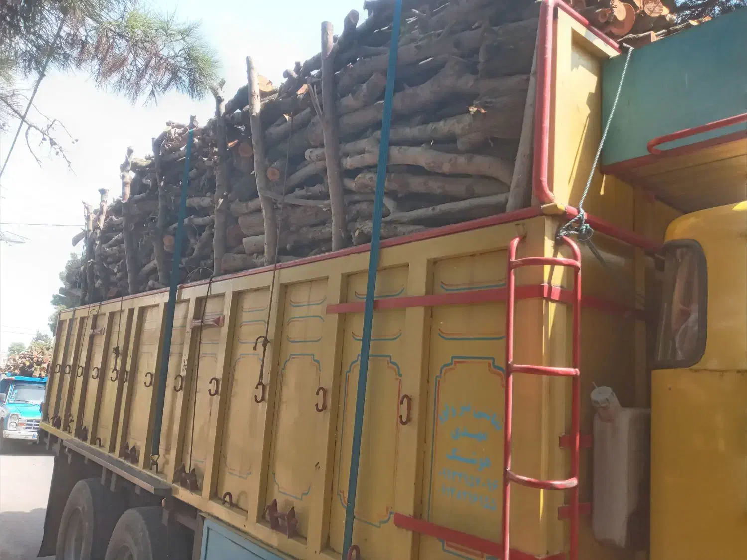 خریدار انواع چوب|خدمات باغبانی و درختکاری|پارس‌آباد, |دیوار