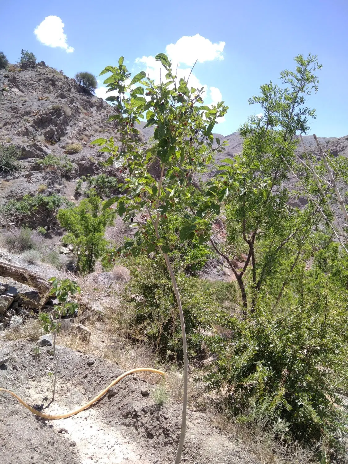 تصویر 9