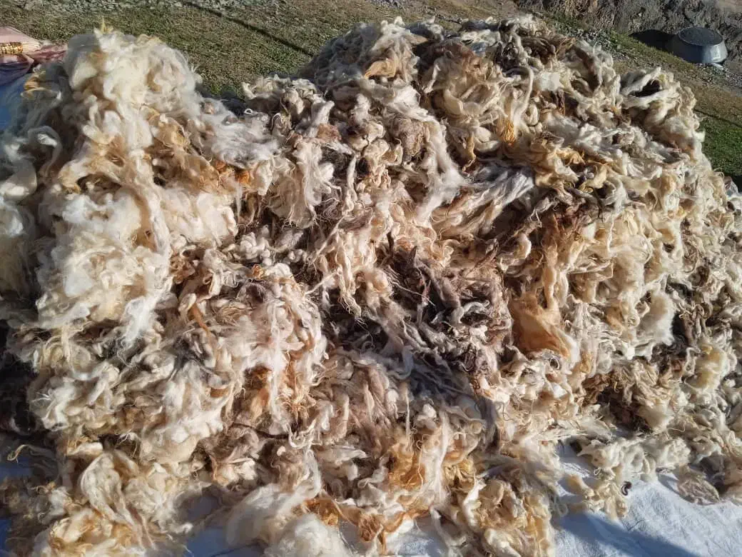 پشم گوسفند|رختخواب، بالش، پتو|پلدشت, |دیوار