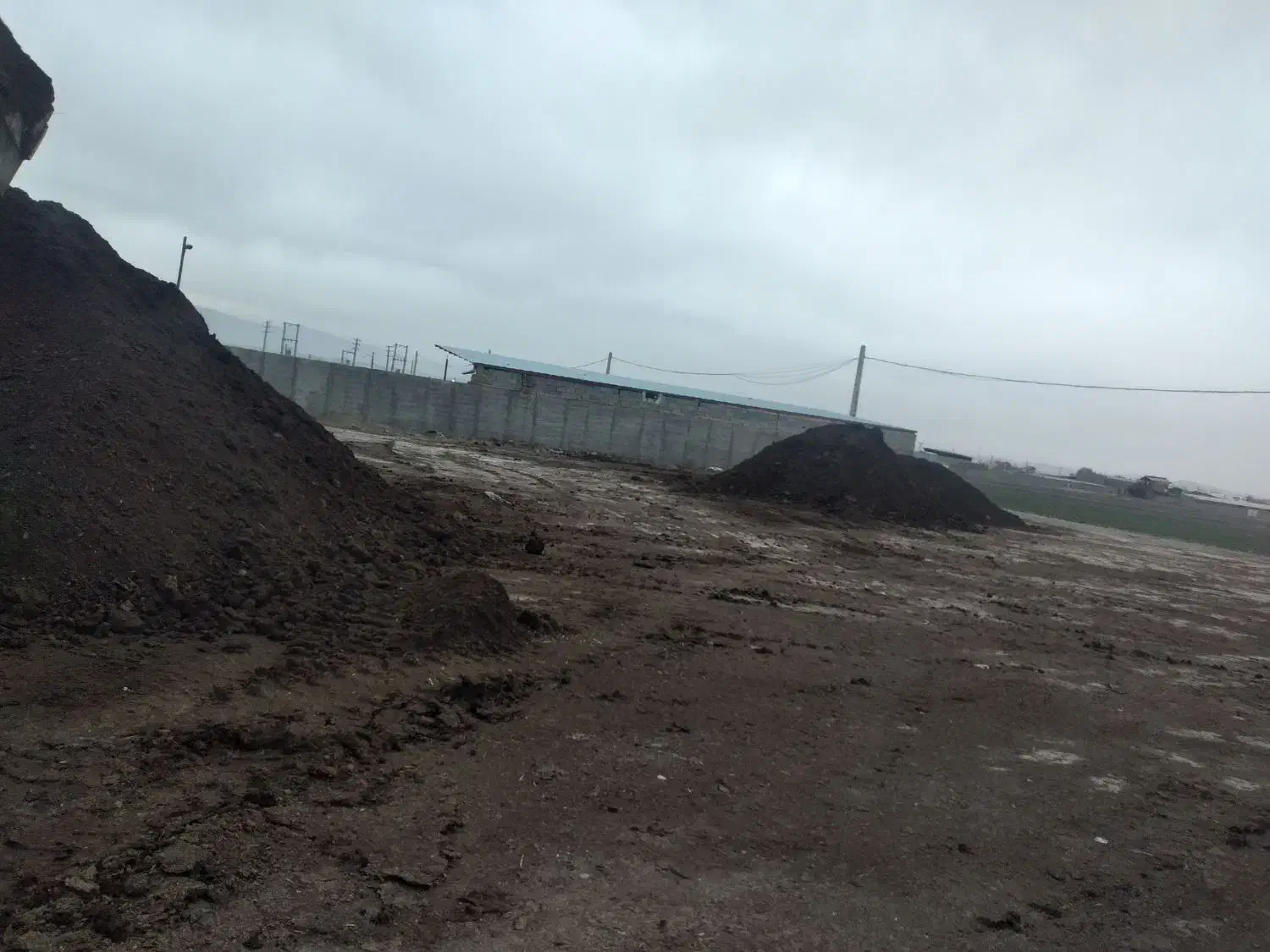 خرید و فروش کود حیوانی|خدمات باغبانی و درختکاری|نظرآباد, نجم آباد|دیوار