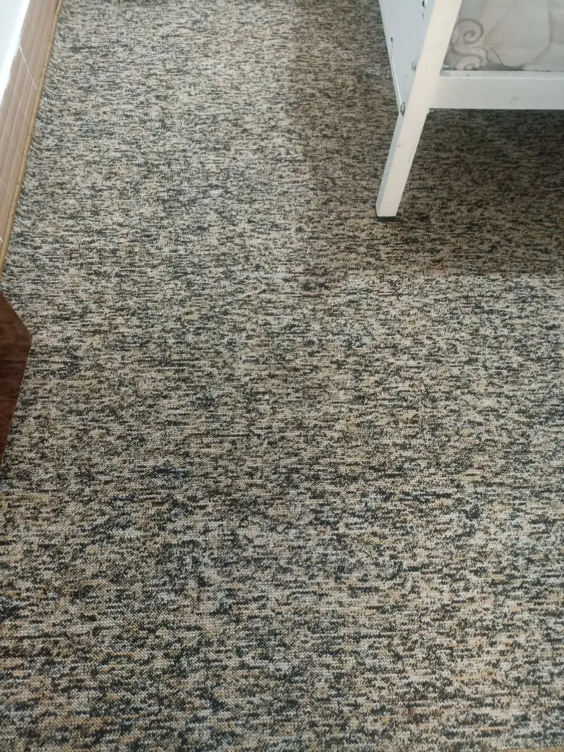 سلام موکت پاتینه|موکت|سرپل ذهاب, |دیوار