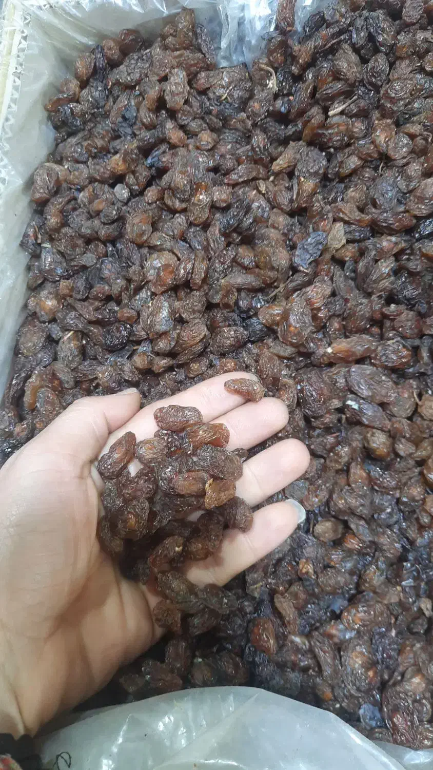 پخش کشمش علی|عمده‌فروشی|کرج, اصفهانی‌ها|دیوار