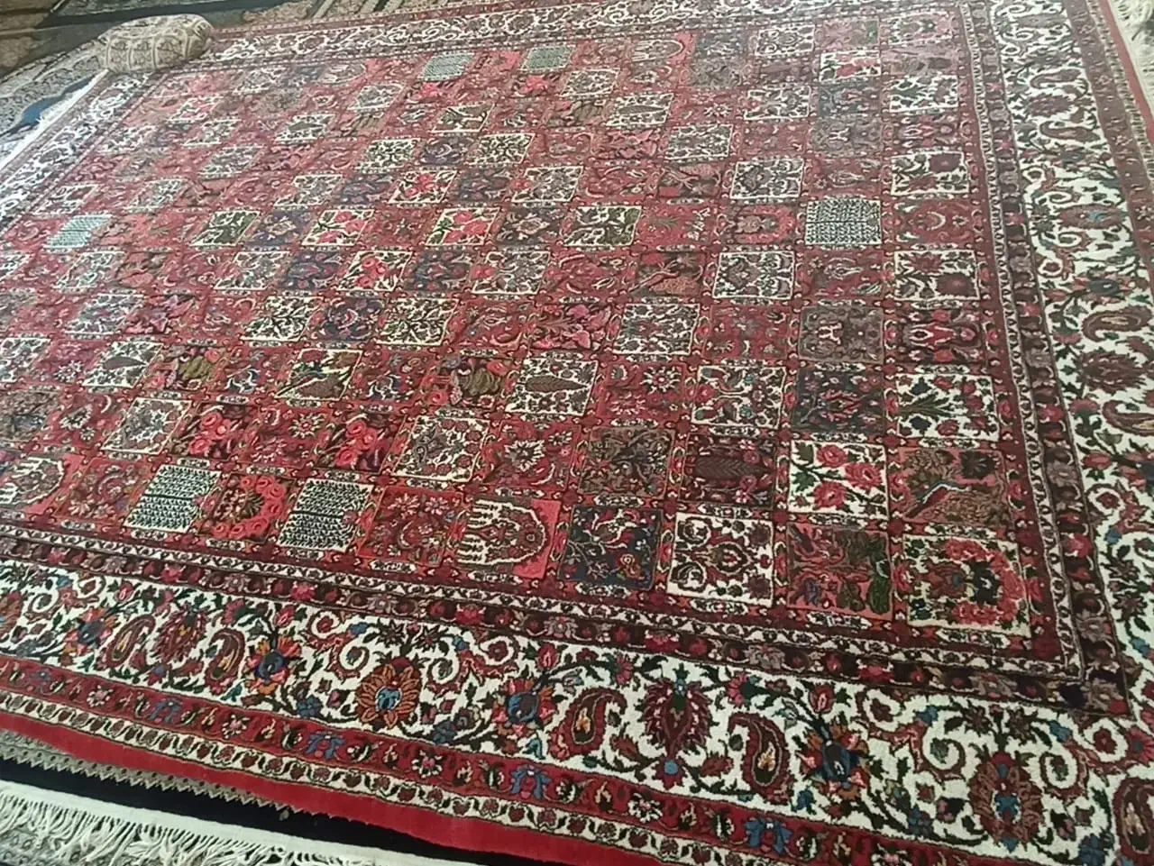 قالی دست بافت|فرش|لاران, |دیوار