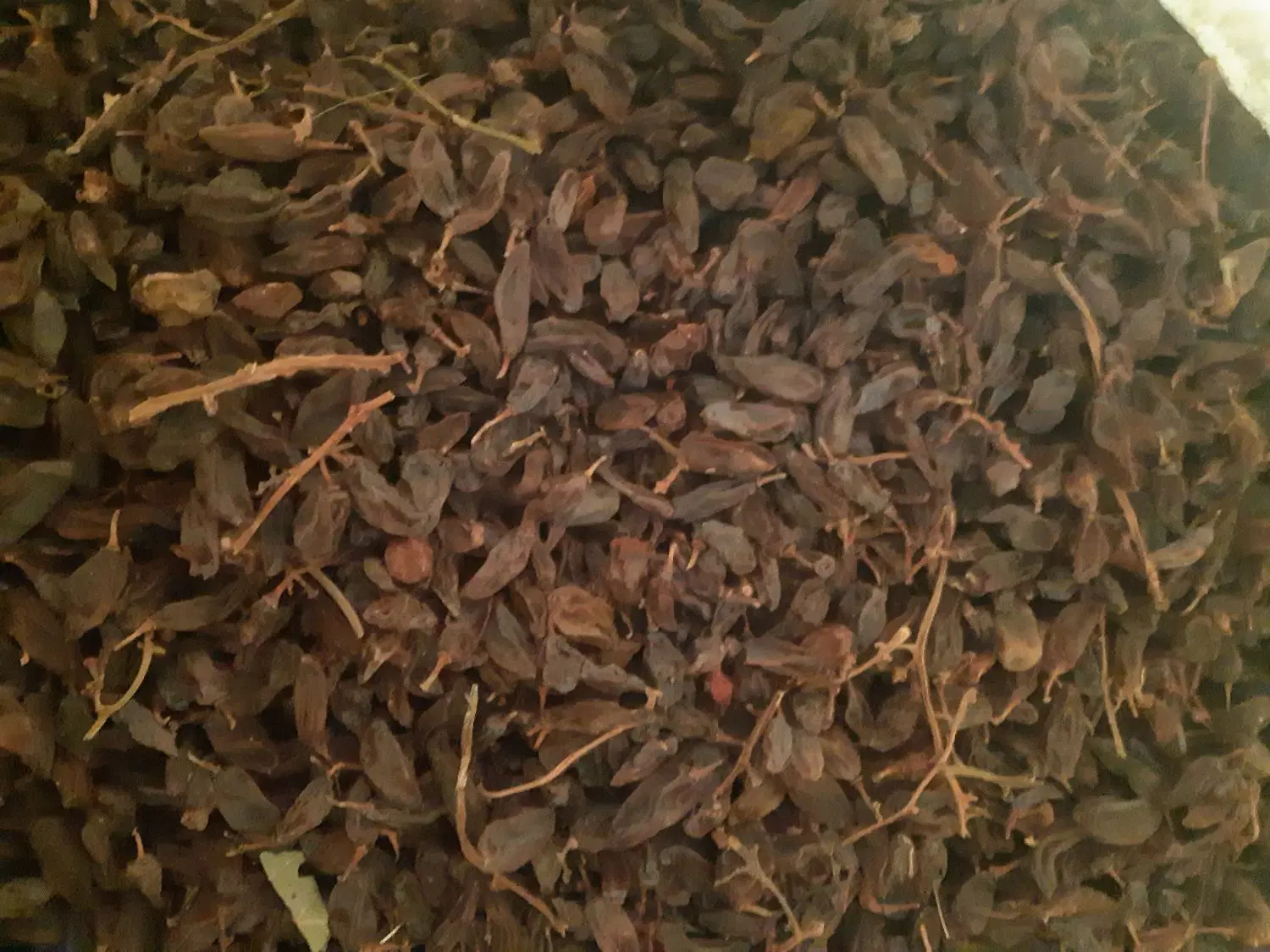 کشمش|خدمات باغبانی و درختکاری|سنخواست, |دیوار